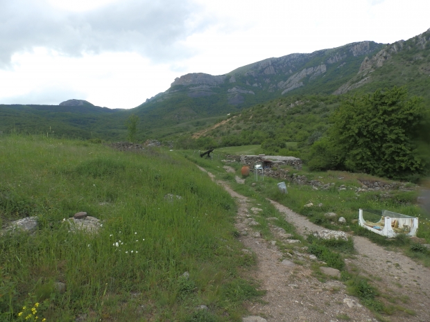 P1011314.JPG
