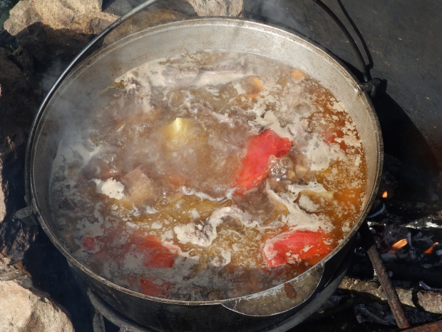 P1011286.JPG