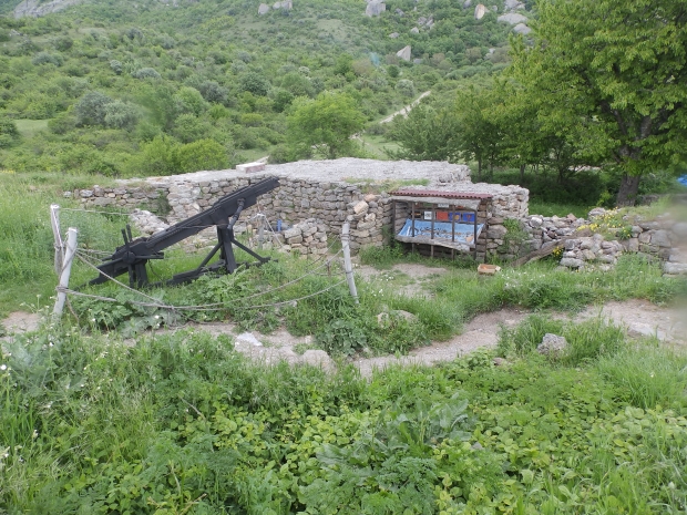 P1011318.JPG