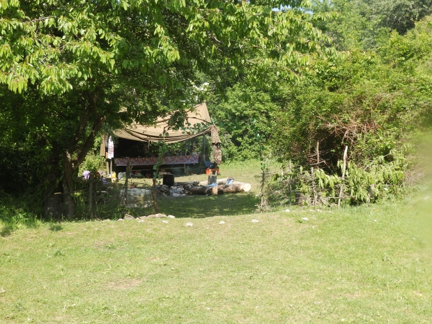 P1011331.JPG