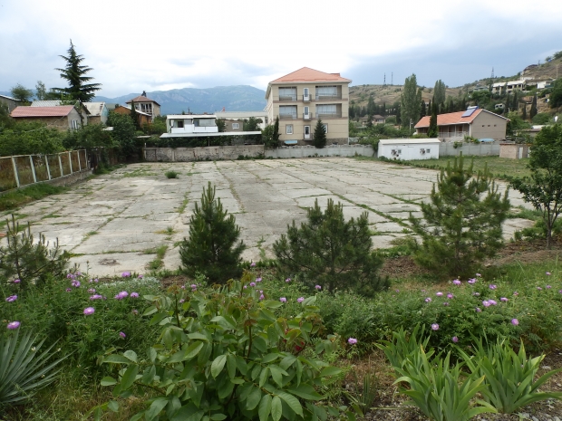 P1011431.JPG