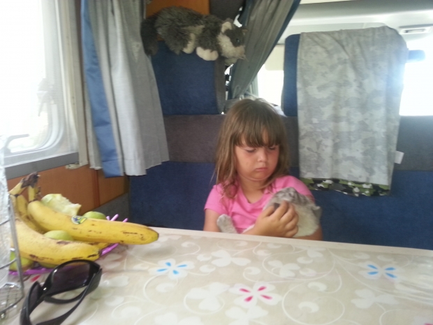 20170720_102127.jpg
