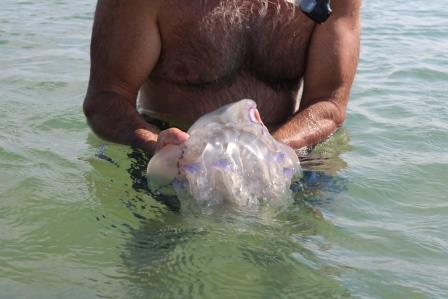 IMG_6765.JPG