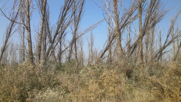 20170822_105105.jpg