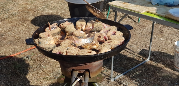 20170930_142625.jpg