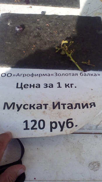 IMG_20170930_155245.jpg