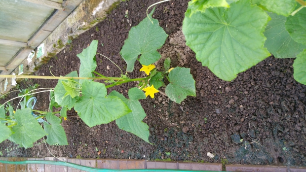 20150531_183238.jpg