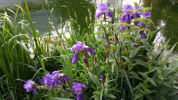 20150531_184305.jpg