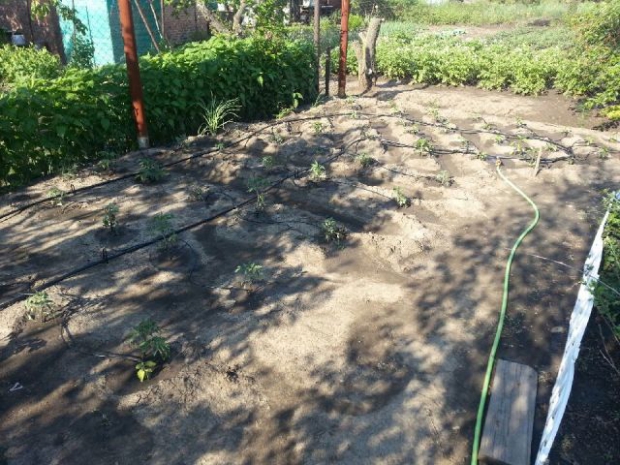 20150601_170353.jpeg