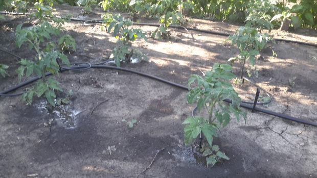 20150601_172558.jpg