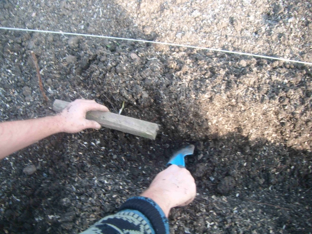 DSCF4544.jpg