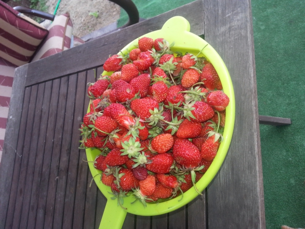 20150604_143229.jpg