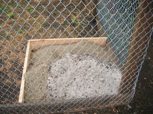 DSCF7816.jpg