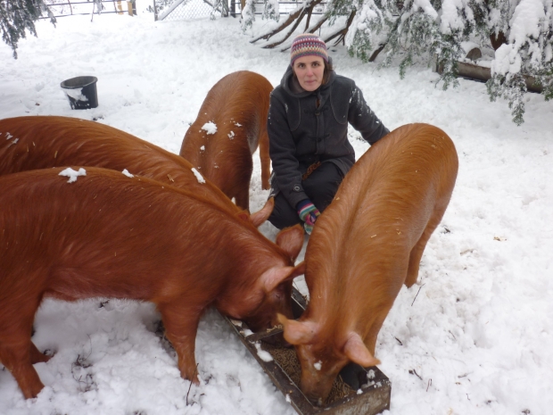 in-the-snow.jpg
