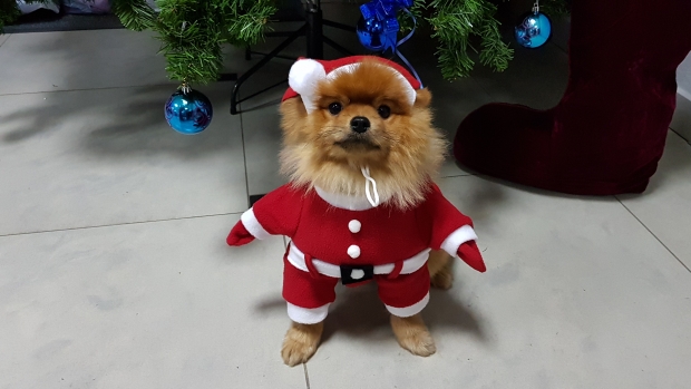 20171231_202230.jpg