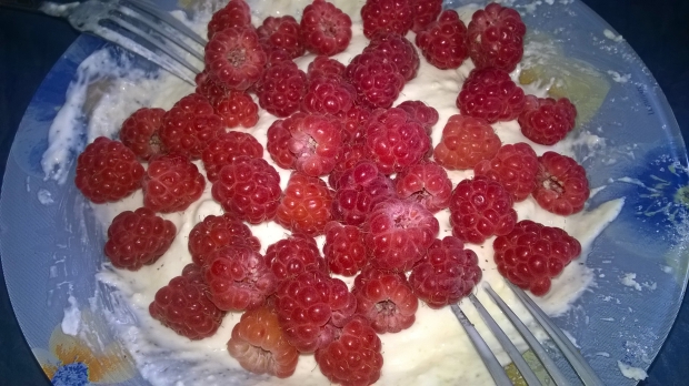 WP_20150617_001.jpg