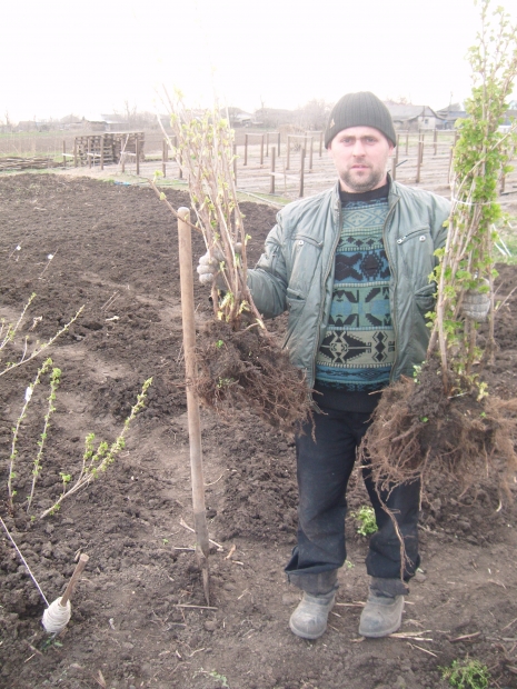 DSCF7615.JPG